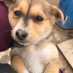 Meet your Posher, Angela